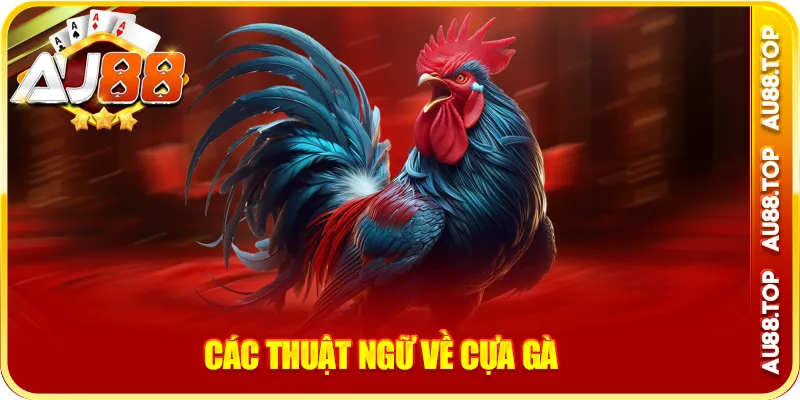 Các thuật ngữ đá gà về cựa gà
