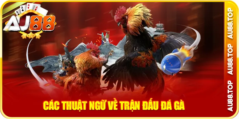 Các thuật ngữ đá gà về trận đấu đá gà