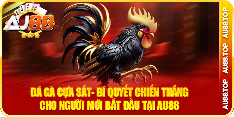 Đá Gà Cựa Sắt- Bí Quyết Chiến Thắng Cho Người Chơi Tại AU88