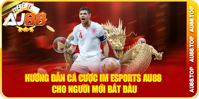 Hướng dẫn cá cược im esports au88 cho người mới bắt đầu