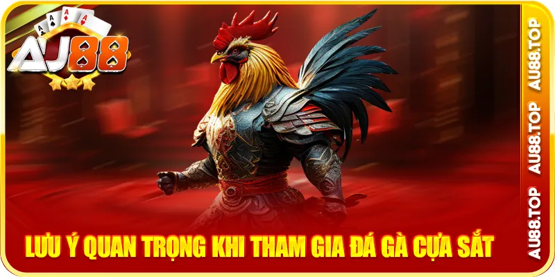 Lưu ý quan trọng khi tham gia đá gà cựa sắt